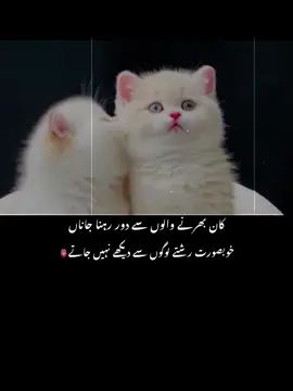 #fyp #sadpoetry #fypvirl #sadpoetry #sadpoetry 
