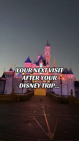 AFTER YOUR NEXT DISNEY TRIP! WERE ONLY 10 minutes AWAY! 🙌🤩 . • 📍500 N Brookhurst St., Anaheim CA Mon - Friday 6pm - 12am Sat and sun 12 -11pm ☎️ 714 603 7405 • • #disneyland #anaheim #santaana #fyp #disney 