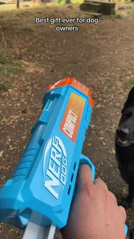 My cousin got me the best gift for my dog this year 😎 Nerf or nothing #nerf #nerfornothing #nerfdog #nerfdogtoy #dogsoftiktok 