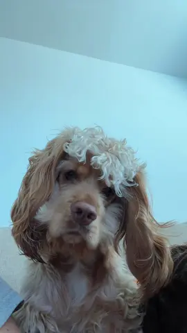 hers is confused 
