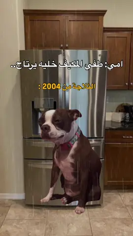 😂💔.  #fyp #viral #explore #الشعب_الصيني_ماله_حل😂😂 #مالي_خلق_احط_هاشتاقات #foryou #memes #منشن_للي_تحبه #طاقيه_طاقيها😁❤️💍 #انها_تمطر_يا_جورج💔 #ثلاجة 
