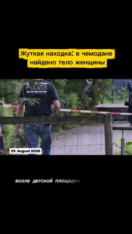 #новостигермании #германия #новостисегодня #рекомендации #чемодан 
