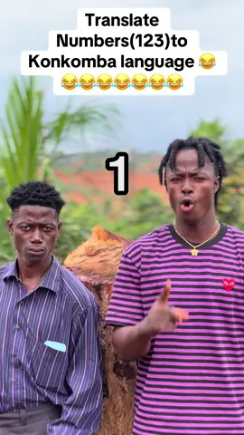 @Zion Gh Translate numbers(123) to Konkomba language😂😂😂😂😂😂😂😂😂😂😂😂😂😂😂😂😂😂😂😂. #ghanatiktok🇬🇭 #foryou #translation #officialkwamejah #fyp 