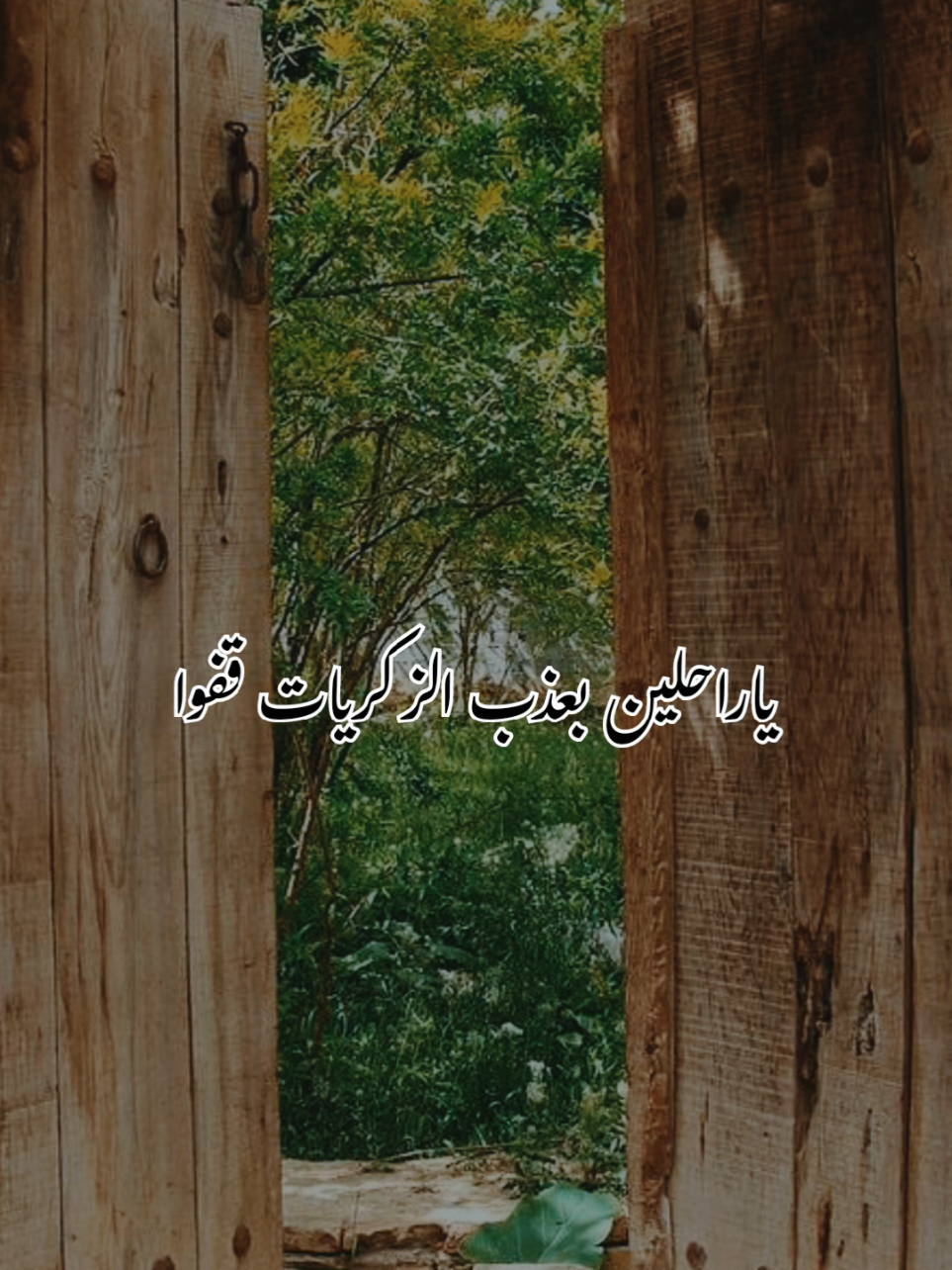 ياراحلين بعذب الزكريات قفوا🥹 #مؤثر #foryoupage #أكسبلور #لايك__explore___ #viraltiktok @nasmat_hodoo 