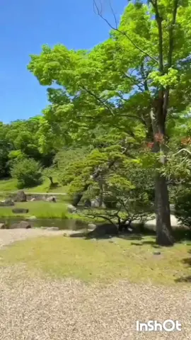 🧚🧚🧚🇯🇵🧚🧚🧚 #又见炊烟  #Yòu jiàn chuīyān #邓丽君 Dènglìjūn  #大阪（日本）🇯🇵  ♥️ 又..见炊烟升..起暮..色罩大..地 想..问阵阵炊..烟你..要去哪..里 夕..阳..有诗..情 黄..昏有画..意诗..情画意虽然美丽我心中只..有..你 ♥️ Yòu.. Jiàn chuīyān shēng.. Qǐ mù.. Sè zhào dà.. De xiǎng.. Wèn zhèn zhèn chuī.. Yān nǐ.. Yào qù nǎ.. Lǐ xī.. Yáng.. Yǒu shī.. Qíng huáng.. Hūn yǒu huà.. Yì shī.. Qíng huàyì suīrán měilì wǒ xīnzhōng zhǐ.. Yǒu.. Nǐ ♥️