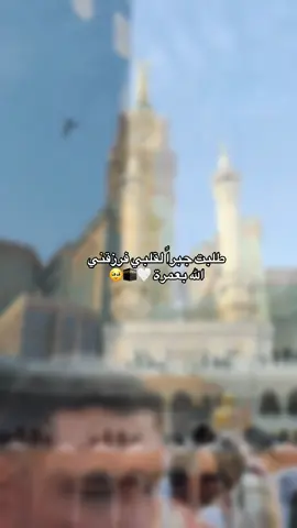 #CapCut طلبت جبراً لقلبي فرزقني الله بعمرة🍃🍃🍃♥️♥️♥️♥️🤍🤍🤍🤍🤍