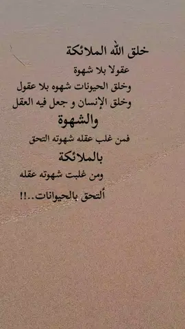 #مشاهير #تيك_توك_عرب_العالم #خواطر #اكسبور 