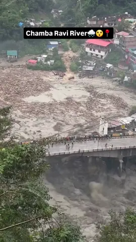 Nature appears to be sending a warning as excessive wood logs are seen floating in the Ravi River. The situation raises serious concerns. 📍Himachal Pradesh, india.