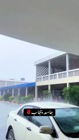 #foryou #punjabuniversitytoday #punjabuniversitylahore 