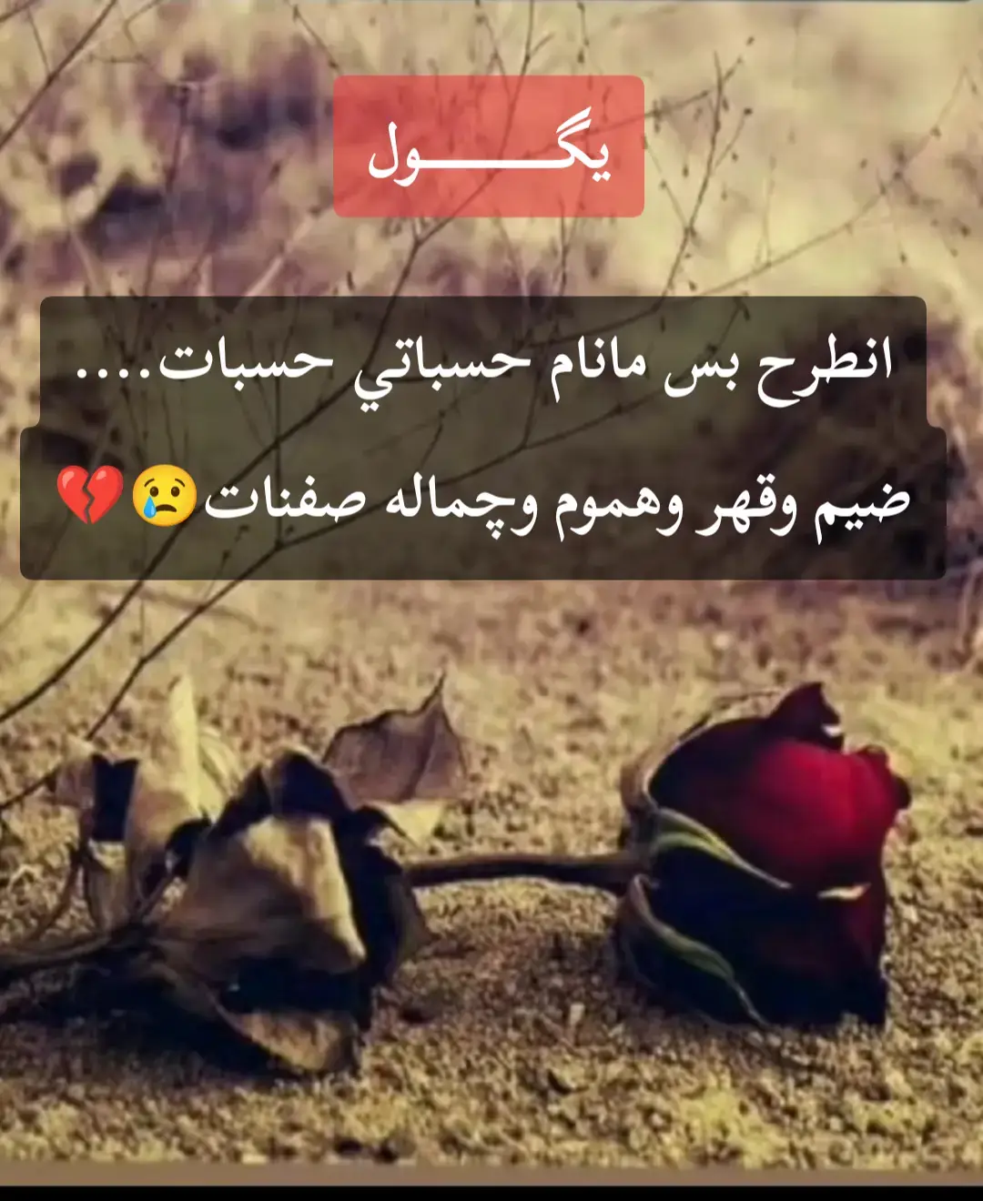 #شعرشعبي #شعرعراقي_شعبي #شعر #مشاهير_تيك_توك #تصميم_فيديوهات🎶🎤🎬 