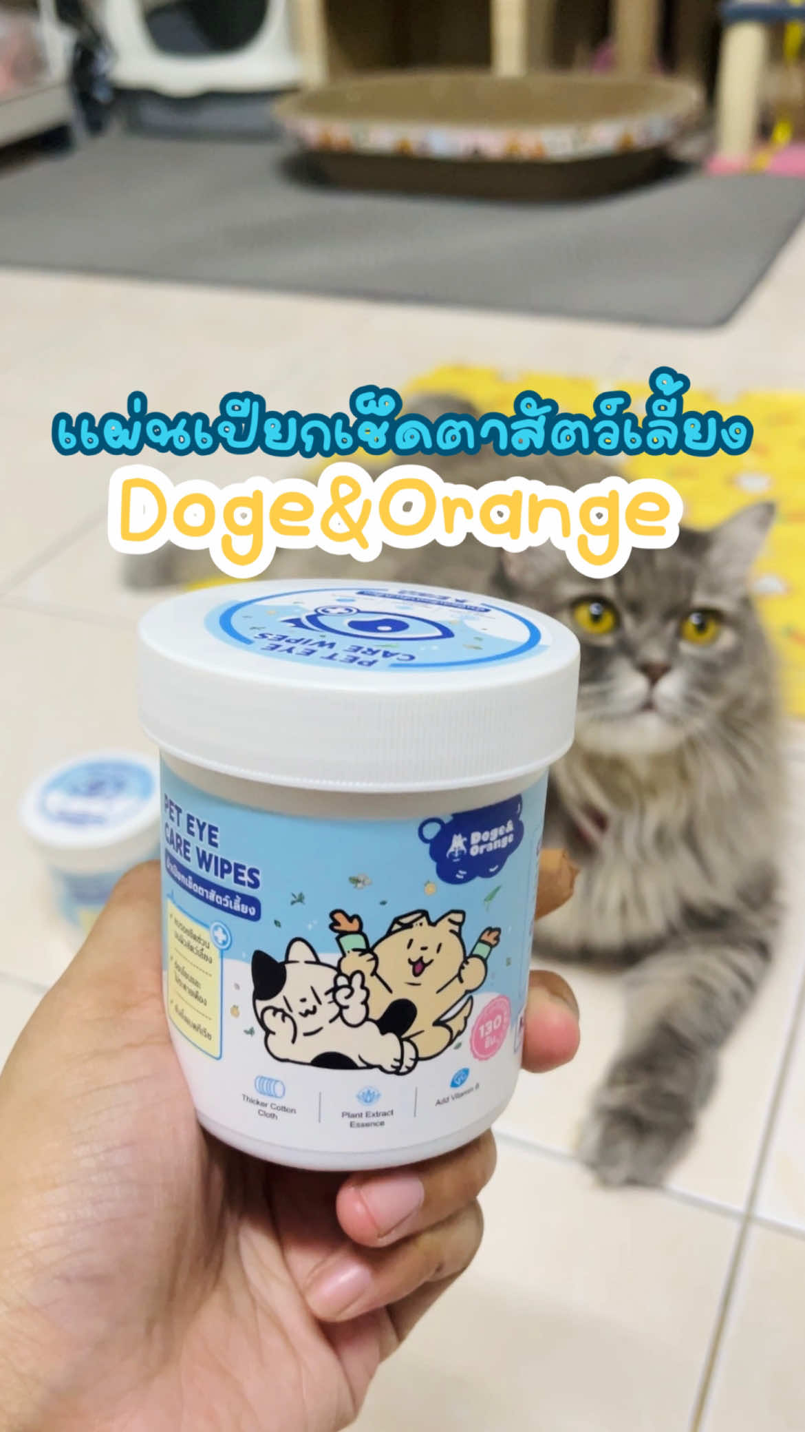 เเผ่นเปียกเช็ดตาสัตว์เลี้ยง!!! #ไข่ตุ๋น #ไข่ตุ๋นเเมวเหมียว #cat #fyp #ผ้าเปียกเช็ดตาแมว 