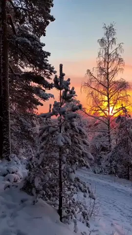 Canadá Selvagem: A Beleza Vista por um Drone Embarque em uma jornada de 3 minutos pelas paisagens deslumbrantes do Canadá, capturadas do alto por um drone que revela cenários de tirar o fôlego. Florestas infinitas que parecem não ter fim, lagos serenos que refletem o céu como um espelho e um pôr do sol que pinta a natureza com cores quentes e mágicas. Cada imagem transmite paz, calmaria e a sensação única de conexão com a grandiosidade da Terra. Este vídeo não é apenas uma viagem visual, mas um convite para desacelerar, respirar fundo e se deixar envolver pela energia tranquila da natureza canadense. Uma experiência perfeita para relaxar, se inspirar e se apaixonar ainda mais pela beleza selvagem do Canadá. 🇨🇦🌲🌅 #Canadá #Paisagem #Drone #Natureza #Viagem         