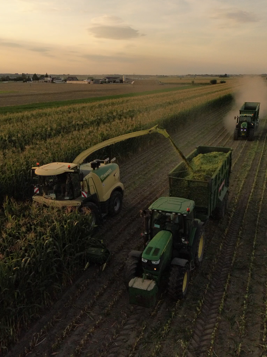 🌽AgroPolaszek Poleca się na zbiory kukurydzy! 🌽 665199493 Powiat gostyński i ościenne  #oporowocalodobowo😎😍 #johndeere #krone #kukurydza #dlaciebie  @konury @Łukasz Andrzejews805 