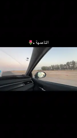 ناعمتنا 🌷.#جبراتت📮 #الناعمه_تل_كصيبه_العيث #منور_الترقصي #اكسبلورexplore #شمر_الطنايا 