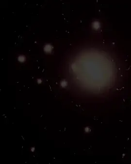يا ماي كوين يام الولة بقيتي كارثة ومشكلة