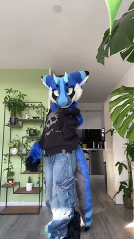 Draft👀 #furry #fursuit #furryfandom #fursuiter #furrytiktok 