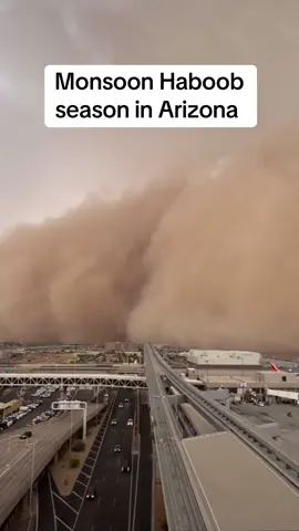 Trees falling, power going out, people are still gonna drive through the dust storm lmao 