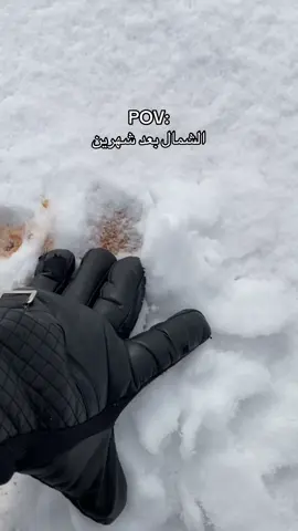 ⏳❄️❄️.#علقان #tabuk #ثلج #الشمال #explore #foryou #fyp 