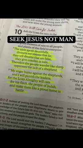 Zechariah 10:2 reminds us not to trust idols or false visions , but to seek Jesus in everything. He is the true Shepherd. 🙏🏽 Type SEEK JESUS NOT MAN if you agree. Want a Bible to study with me? This one has been a great help in my walk with Jesus. Tap below ⬇️