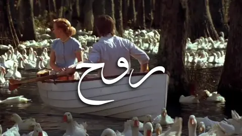 انا بلا وعي من انطيتك الروح #وسام_العارضي؟ #fyp #foryou #viral #explorepage 