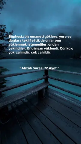 “Biz ona yolu gösterdik; ister şükredici olur, ister nankör.” #islam #insan #keşfet 