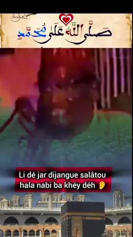 Salatou hala nabi SalaL lâhou Halâ Mouhamad #mouride #alquran #tiktoksenegalaise🇸🇳🇸🇳 #gamou #bourde 