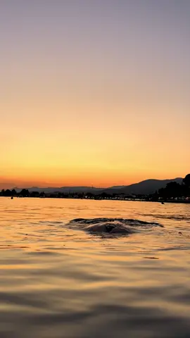 Καλοκαιράκι 🧡🫠#foryou #foryoupage #summer2025 #sunsets 
