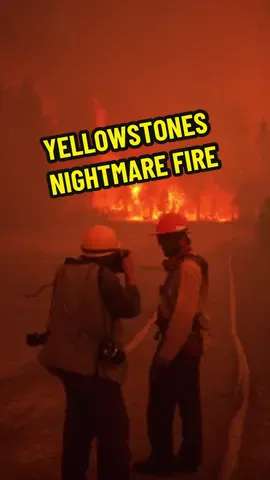 America’s Most Devastating National Park Fire #fyp #YellowstoneFires1988 #June1988Yellowstone #Yellowstone1988 #1988Wildfires #YellowstoneWildfire #SummerOfFire #YellowstoneHistory #YellowstoneNationalPark #WildfireHistory #HistoricWildfires #FireSeason1988 #NatureOnFire #YellowstoneLegacy