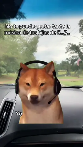 #Meme #MemeCut 