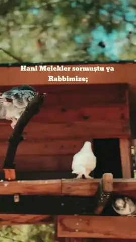 #anılar #zarifcepaylaşımlar 
