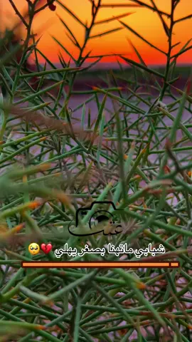 #تصويري_احترافي_الاجواء👌🏻🕊 #تصويري📸اكسبلوور♥️🙂📸اكسبلوور 