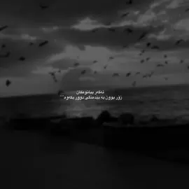 #viral #kurdistan #foryou 