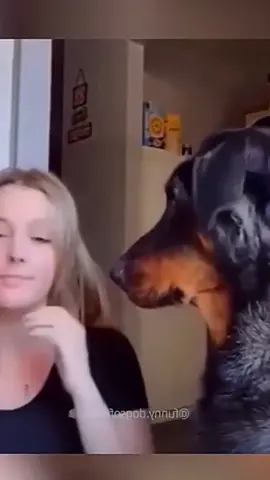 #dog 
