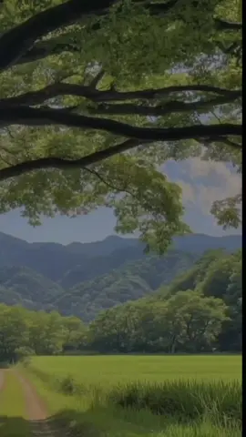 آواخر سورة الفجر بصوت القارئ علي نمير 🤍🌿 ــــــــــــــــــــــــــــــــــــــــــــــــــــــــــــــــــ #سورة_الفجر#علي_نمير #قرآن  #تلاوة_خاشعة #القرآن_الكريم 