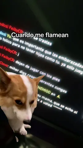Cosas que pasan #Valorant #valorantgaming #valorantfunny  #Meme #MemeCut 