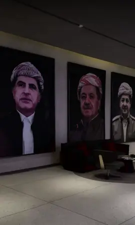 #foryou #fyp #viral #dolamari #sherwani #barzani #mergasor_soran_hawler_kurdistan 