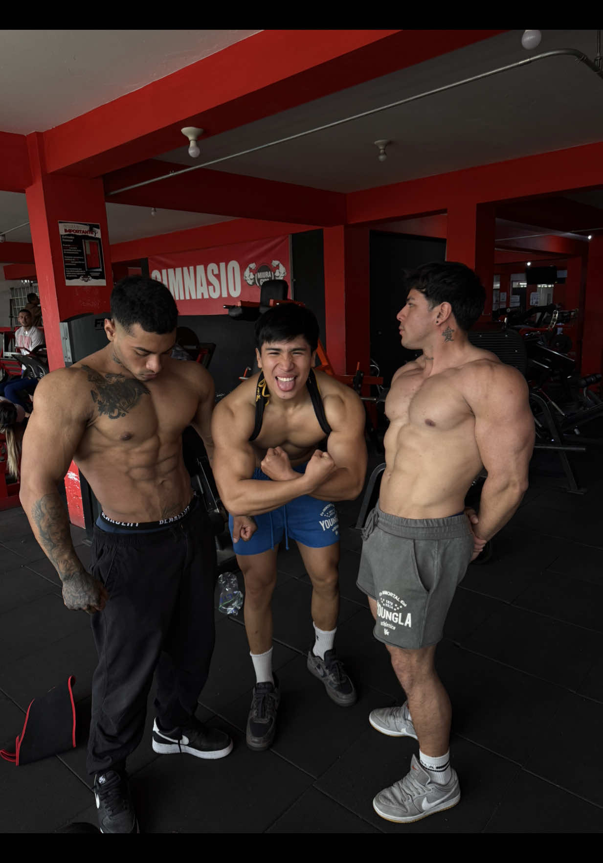 Se viene el PRIME @Manufit 💊 @Bricehallenssj  . #heracles #Fitness #gym #streamer #culturismo 