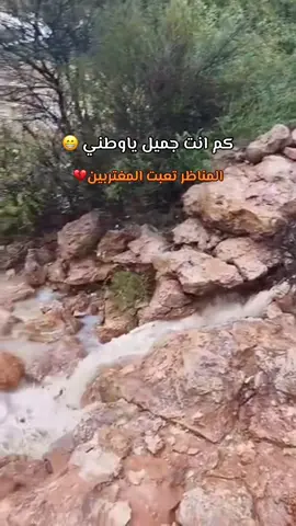 @المناضر اللي تعبت المغترب 💔 #سيول_وامطار_حضرموت  #مناظر_من_بلادي_حضرموت##حضرموت_وادي_عمد_الهجرين_وادي_العين #الضليعه_دوعن_ارياف_حضرموت #امطار_وسيول_حضرموت 