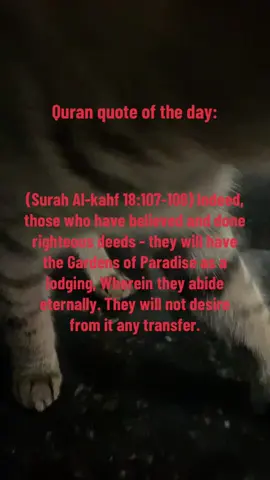 #Allah#Quran#SurahAl-Kahf18:107-108#islamic_video#
