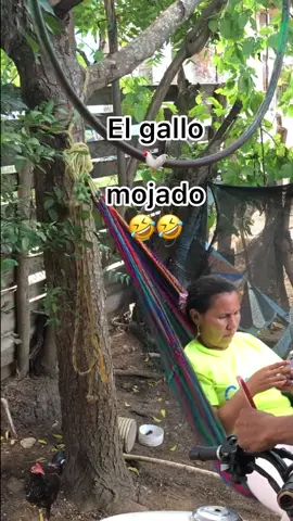 😂😂😂😂🤷‍♂️🙈