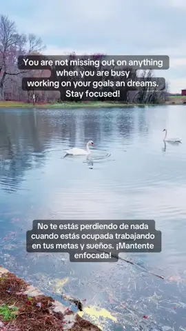 Focus on what matters to you #latinoscreandowealth #latinvestor® #aprendeainvertir #learntoinvest #stayfocused 