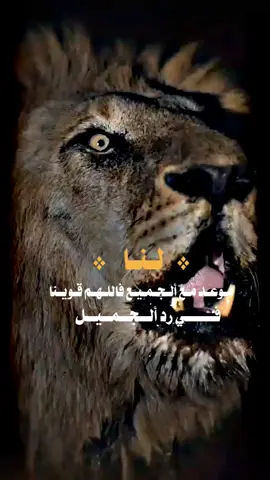 #اكسبلور #تصميم_فيديوهات🎶🎤🎬 