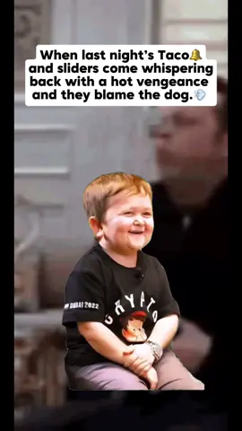 Blame the fart on the dog. #funny #funnyvideos 