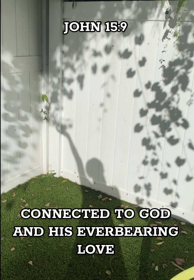 #greatgardener #truevine #branches #aloveididnotearn #fathersonholyspirit 