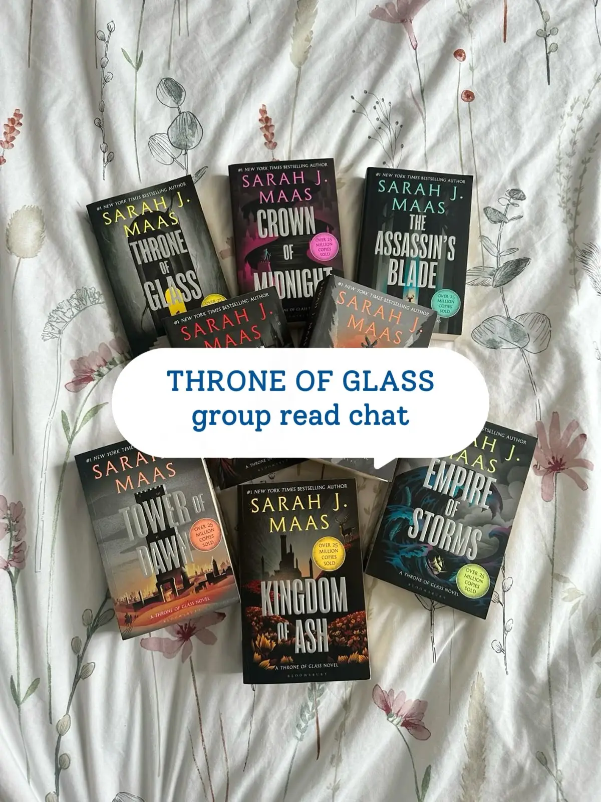 this group has definitely made reading this series so much better 🤣 @A Bookish Natalie 📚🐛 @Jess 🤠🖤⚡️ @Mrs. Bookish✨📖 #BookTok #booktokfyp #booktoker #throneofglass #bookclub 