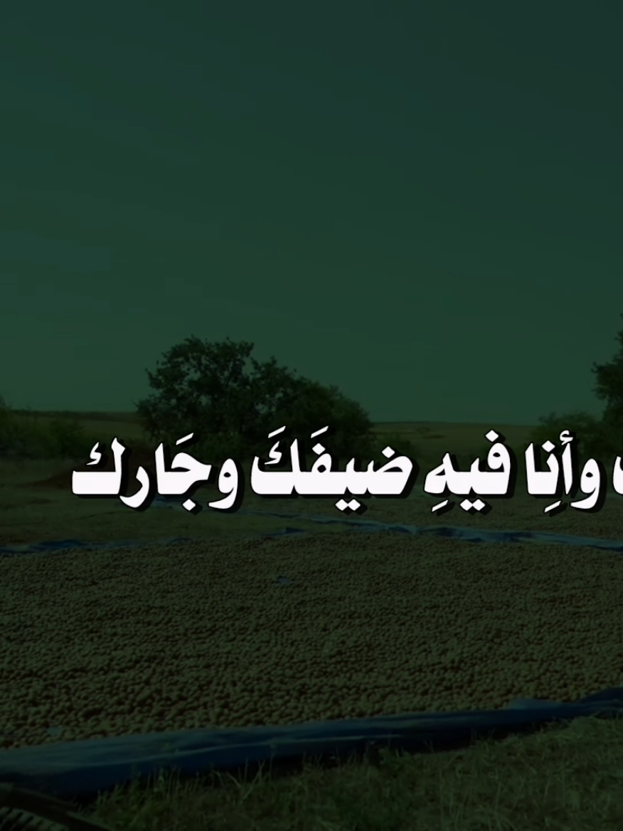 هذا يِومُ السبتَ 🤎 #دعاء_يوم_السبت #السبت #دعاء #ادعية #يارب 