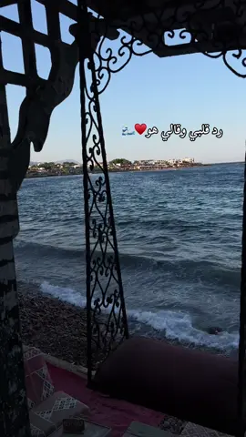 رد قلبي و قالي هو♥️🌊 #اكسبلورexplore #pppppppppppppppp #بحر 