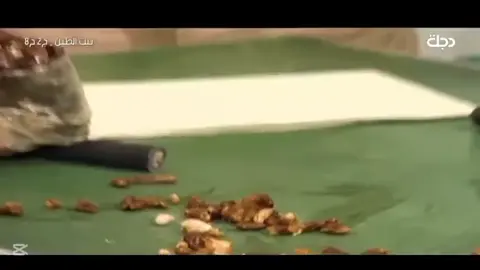 تكمله حلقه 8#بيت_الطين #viral 