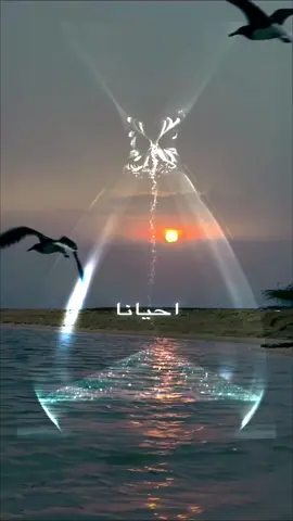 #القبول_من_الله #عبدالله_البواردي #اقتباسات #مواعظ_مؤثرة #اكسبلورexplore 