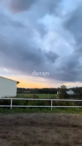 #horse #CapCut #fyp #aura #therapy @anyaovodova 